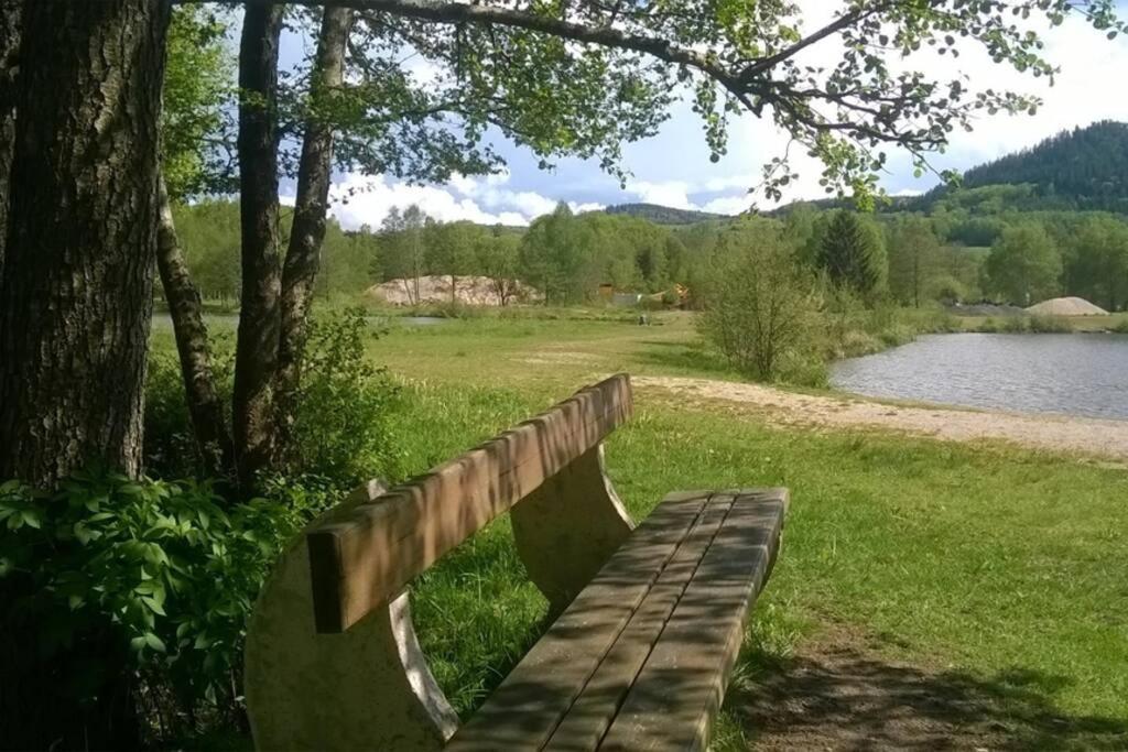 Les Gites De L Etang :Studio A 20 Mn De Gerardmer La Chapelle  Exterior foto