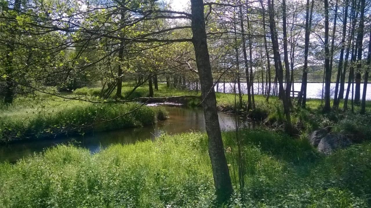 Les Gites De L Etang :Studio A 20 Mn De Gerardmer La Chapelle  Exterior foto