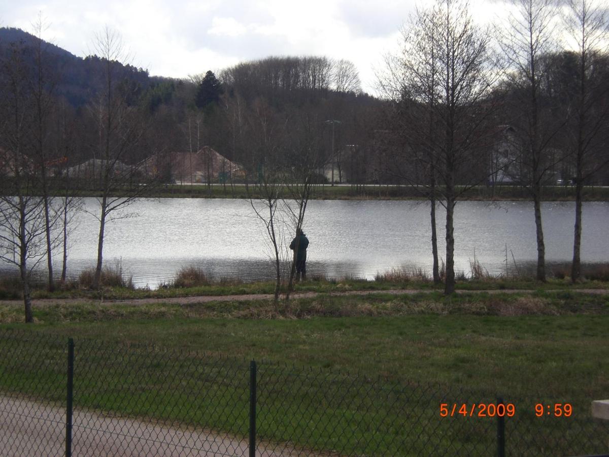 Les Gites De L Etang :Studio A 20 Mn De Gerardmer La Chapelle  Exterior foto