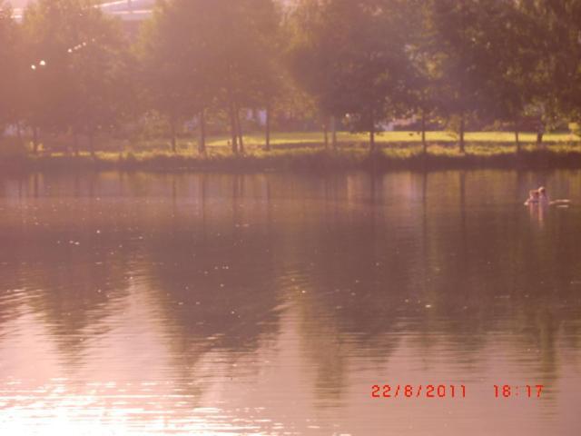 Les Gites De L Etang :Studio A 20 Mn De Gerardmer La Chapelle  Exterior foto